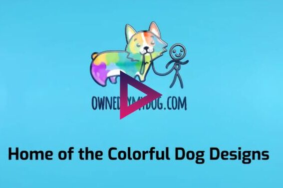 bold colorful video screen