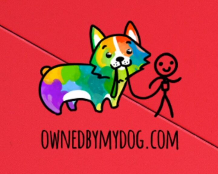 obmd-video-thumbnail
