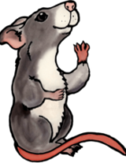 Picture of Barn Hunt comic Rat